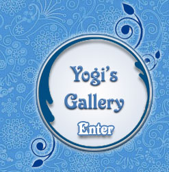 Yogi's Photo Gallery